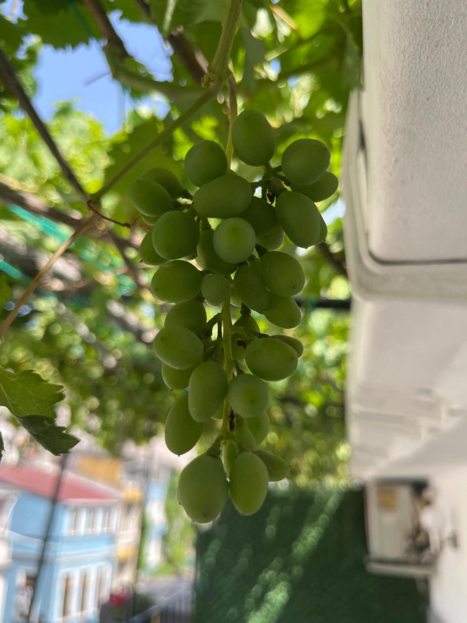 Taksim Neo Pera Suites Stambuł Zewnętrze zdjęcie